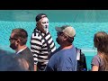 Hysterical tom the mime  famous seaworld mime