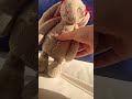 #tiktok #barbie #preppy #funny #dance #cute #music #family #monkey #baylaanoelle