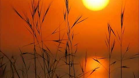 سورة عم محمد البراك