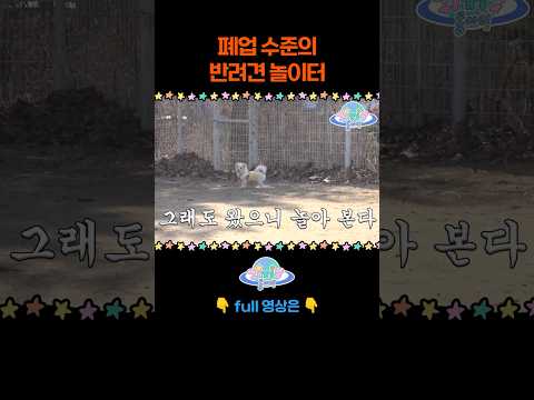 그래도 내 새끼가 즐거우면 됐어 #shorts
