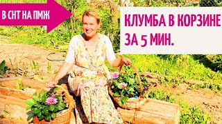 СТАРАЯ ДАЧА | Цветник (клумба) в корзине за пять минут. Идеи для дачи и дома.№29