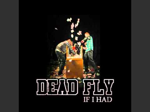 DEAD FLY - if i had