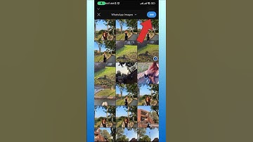 How to Post on Reddit (Quick & Easy)