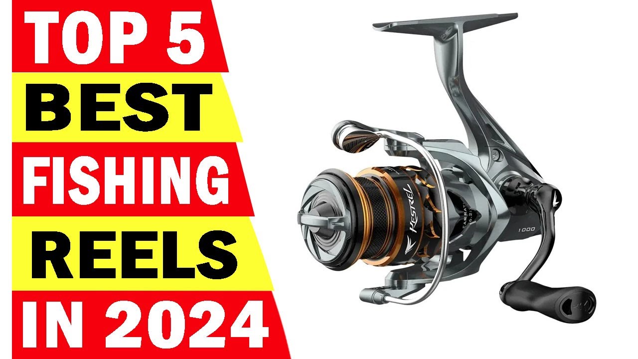 Top 5 Best Fishing Reels In 2024 