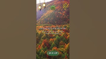 أواخر سورة البقرة ❤️ #القرآن_الكريم #quran #قرآن