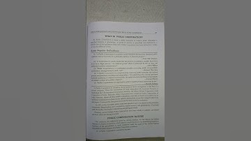 What is a public corporation definition ?political science