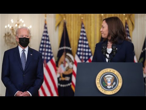 'Fake': social media