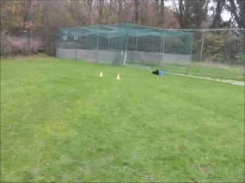 Sendaway & Call Up - Back Marker Triangle - Working Cocker Spaniel - Caroline & Rumba