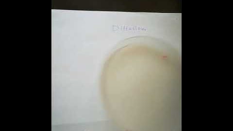 Demonstration on diffusion