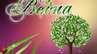 Проект  Весна.  #весна