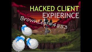 Domain of Magica [Hacked client] 2.8.0