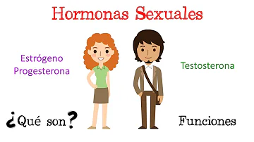 ¿Cómo se llama la hormona principal femenina?
