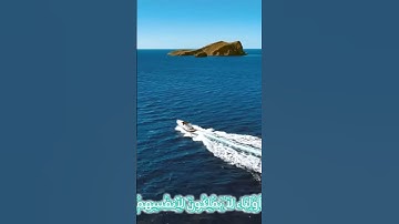 سورة الرعد و؛كا.نك تسمعها لأ..و.،ل مر.ة 🌹؛🏵️.💟🌻؛🌸💓؛💮بصوت الشيخ حمزة مد،بو.ح💓،.🏵️،.💝❣️؛،💓،؛💛🌻