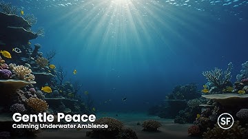 Calm Focus Stream – 24/7 Gentle Music to Decompress