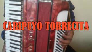 Video thumbnail of "CARIPUYO TORRECITA EN ACORDEON"
