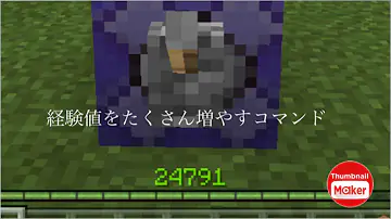 マイクラ統合版 コマンド経験値
