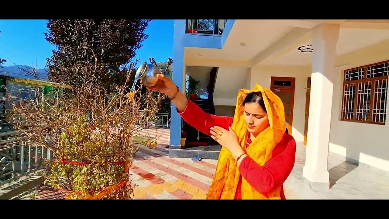 शहर से दूर!! मेरे घर के आसपास का सुकून भरा नज़ारा | प्रकृति की गोद में एक खूबसूरत सुबह/शाम!!