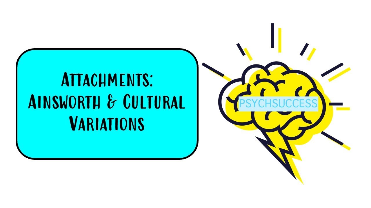 AQA A Level Psychology - Ainsworth's Strange Situation & Cultural Variations