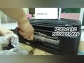 How to Replace the Ink Absorber Pad of Canon G2000 Printer