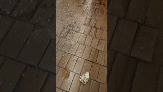 ** BREAKING NEWS ** Partial ceiling collapse at the #AstorPlace #Subway Station