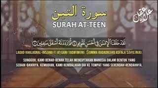 SURAH AT-TIN - SYEIKH LAA AQEL