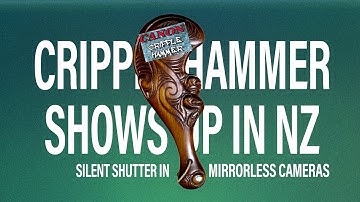 Canon EOS-R Silent Shutter - Will the Cripple Hammer strike?