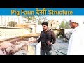 How to make Low budget desi structure of pig farming in india | कम बजट की देसी  structure