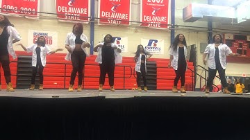 Alpha Kappa Alpha Sorority, Inc. Delta Lambda Chapter Champions, DSU SGRHO Stroll Competition