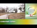 Бодрое утро. Тропы. Собачья горка. 24.04.2026