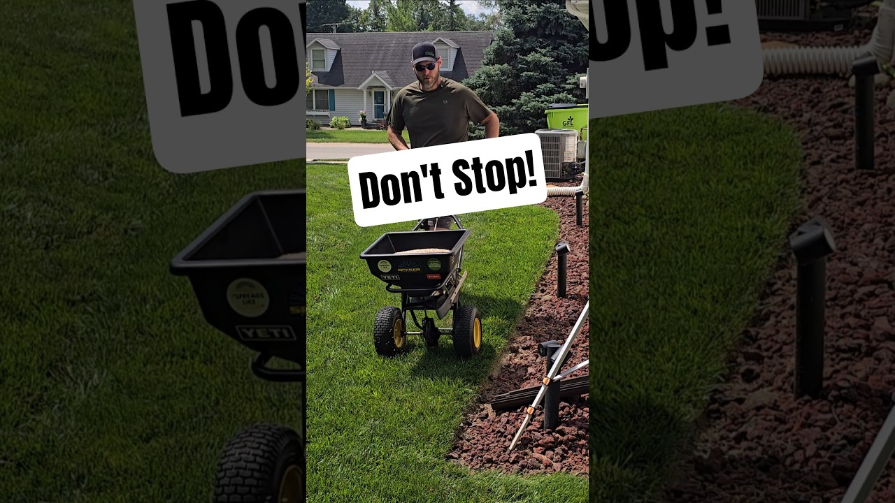 Don't Let Your Grass Die This Summer! #diy #lawncare #summer