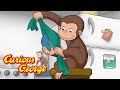 George Cleans Up 🐵 Curious George 🐵 Kids Cartoon 🐵 Kids Movies