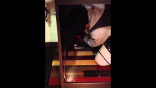 ドリンクカウンターの床固定（耐震）