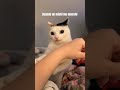 Memes #7