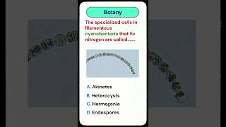 #nitrogenfixation #cyanobacteria #botany #university #education #learning #shorts #academia