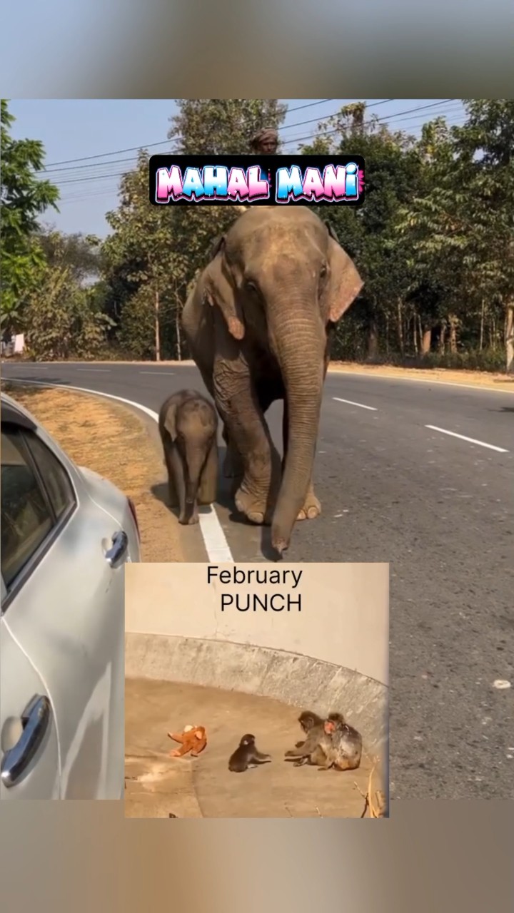 💝இதயத்தின் துடிப்பு நீ - ShareChat