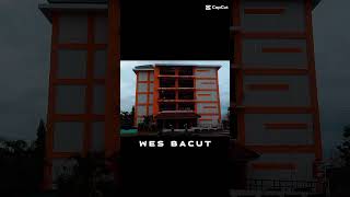 Download Lagu LINDU BATIN MP3