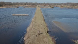 Waterschapsdag 2018 De Toekomst Van Schoon Water