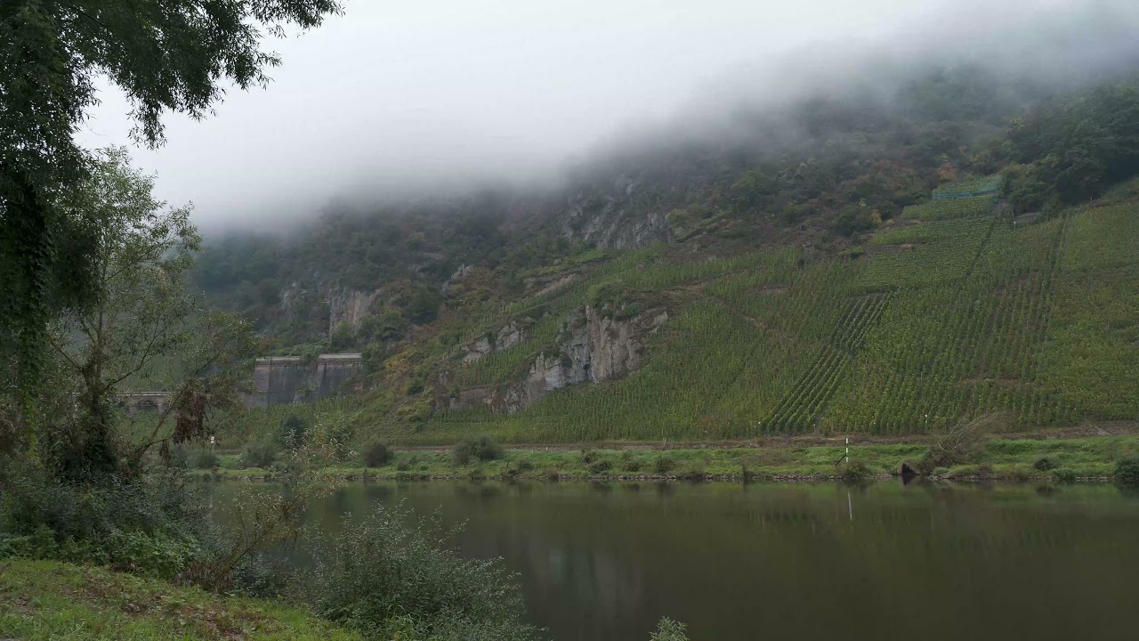 [Timelapse] High fog on the Moselle. One morning on the Moselle loop near Zell in 30 seconds [4K]