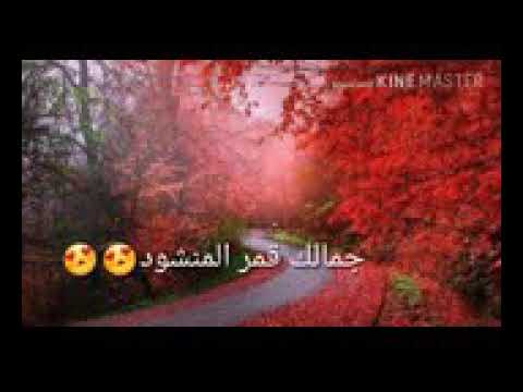 حبك عندي مالو حدود نجوى كرم