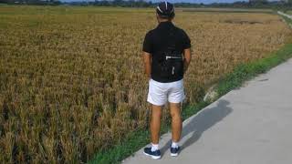 Download Lagu My mini movie1 MP3