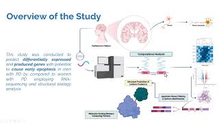 Identification Of Therapeutic Biomarkers For Parkinsons Disease Using Rna-Sequencing Eccbiscb