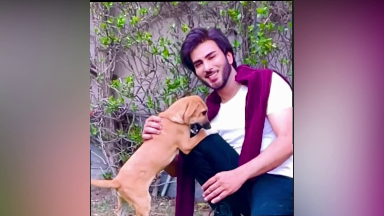 Imran Abbas Playing with Dog | Animal Lover | Imran Abbas | Imran Abbas Fans Official