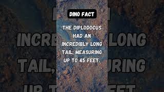 The Diplodocus had an incredibly long tail, measuring up to 45 feet. #dinosaurs #dino...