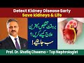 Detect kidney disease early save kidneys  life