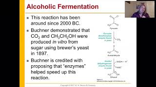 Chem 435 Chapter 1 Section 1 Pre recorded Lecture