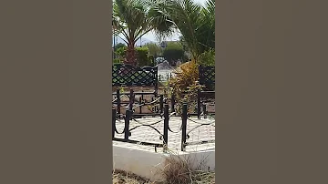 يا معهدا احببته 