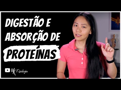 Vídeo: Quando as proteínas são digeridas?
