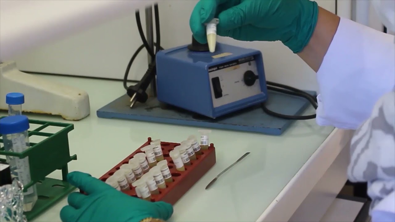 Nectar Pesticide Analysis [PoshBee training] YouTube