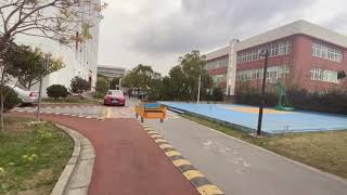 A516 F20 Halquist Yiyang Project3