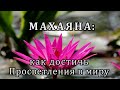 Махаяна: как достичь Просветления в миру